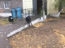 продуктовый магазин Гурман в Улан-Удэ