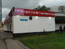 Союзцветторг, улица Миклухо-Маклая, 22а 