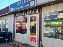 Магазин автохимии, улица Борсоева, 2Б 