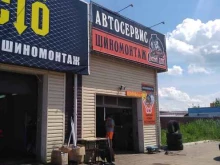 автосервис Дикий Дик в Новомосковске