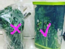 маркет Tupperware в Махачкале