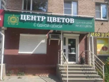 Сувенирные композиции Центр цветов в Нижнем Новгороде