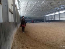 Спортивные школы Спортивная школа по конному спорту в Екатеринбурге