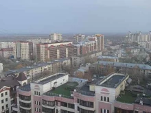 Судебная / внесудебная экспертиза Лес-проект в Барнауле