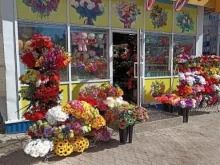 цветочный магазин Алые розы в Лениногорске