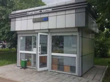 Цветы Городские цветы в Ярославле