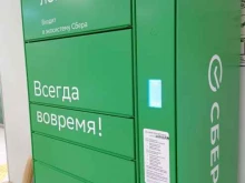 служба курьерской доставки СберЛогистика в Брянске