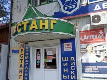 автоцентр Мустанг в Заводоуковске