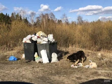 компания по вывозу мусора Эколог в Красноярске