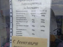 автостоянка Лесная в Саяногорске