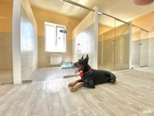 отель для животных BookingDog в Южно-Сахалинске