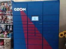 автоматизированный пункт выдачи OZON box в Димитровграде