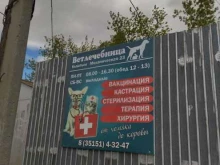 Ветеринарные клиники Кыштымская ветеринарная лечебница в Кыштыме