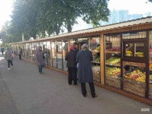 киоск по продаже фастфудной продукции Шаурма Хаус в Липецке