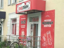 магазин разливных напитков Пивлайн в Копейске