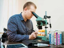 Yesphone, Северная, 400 