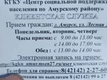 Социальные службы Центр социальной поддержки населения по Амурскому району в Амурске