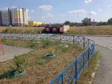 г. Южноуральск Мусорный контейнер в Южноуральске