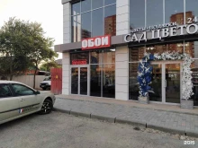 Широкоформатная печать Магазин обоев и фресок в Краснодаре