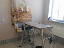 Ветеринарные клиники Ветеринарный кабинет в Саратове