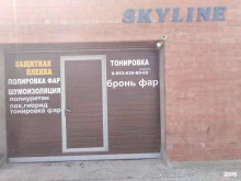 студия винила Skyline в Энгельсе