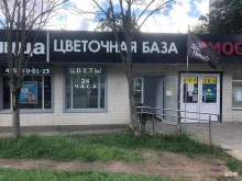 Услуги по упаковке подарков Цветочная база в Домодедово