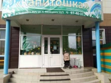 лицензированный частный детский сад Капитошка в Сургуте