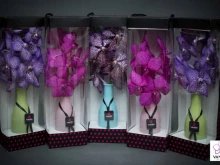 салон цветов Vanda в Курске
