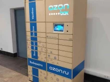 Ozon Box, Нескучная, 3 