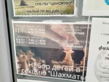 Детский шахматный клуб, Малый проспект В.О., 66 к2 