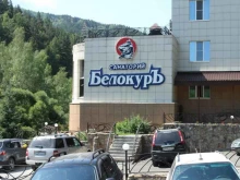 рекламное агентство ML-group в Белокурихе