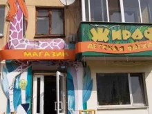 магазин детских товаров Жираф в Нижнем Тагиле