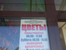Цветы Магазин искусственных цветов в Краснодаре