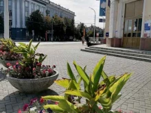 Администрация области / края Аппарат общественной палаты Кемеровской области - Кузбасса в Кемерово
