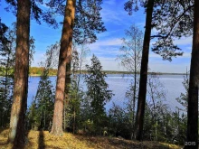 база отдыха Экспресс в Чебаркуле