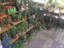 цветочный салон Костас в Сочи