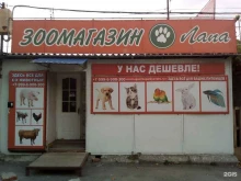 зоомагазин Лапа в Аксае