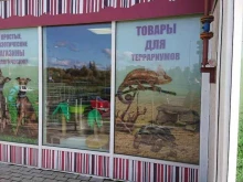 зоомагазин Зоолог в Великом Новгороде