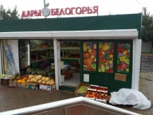 киоск по продаже фруктов и овощей Дары Белогорья в Белгороде