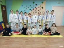 Детские / подростковые клубы Федерация тхэквондо МФТ Омской области в Омске