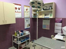 Dschon, проспект Авиаконструкторов, 8 к1 
