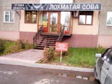 студия красоты Лохматая сова в Владимире