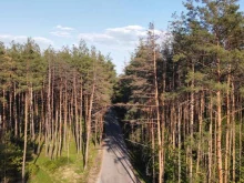 Берегите лес, Изыскателей, 50/1 