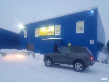 Автозапчасти для грузовых автомобилей Норильский автоцентр в Норильске