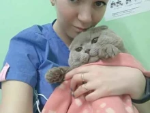 ветеринарный кабинет СмолВет в Смоленске