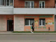 центр речевого развития Абрикос в Иркутске