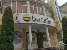 телекоммуникационная компания билайн бизнес в Черкесске