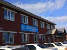 Отделы ветеринарно-санитарного контроля Усольская станция по борьбе с болезнями животных в Усолье-Сибирском