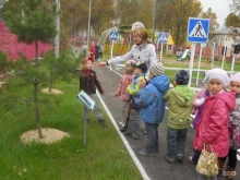 ландшафтная компания Гринсити в Новокузнецке