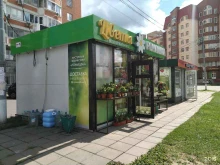 цветочный магазин Ромашка в Королёве